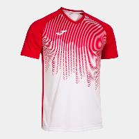 CAMISETA MANGA CORTA TIGER VI 