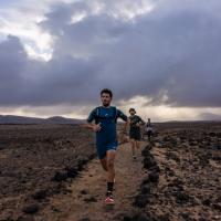 Camiseta mc running Nature Joma I