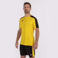 Camiseta Academy Joma 2